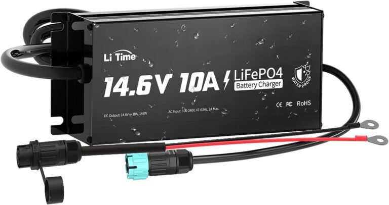LiTime 14.6V 10A LiFePO4 Onboard Charger Review